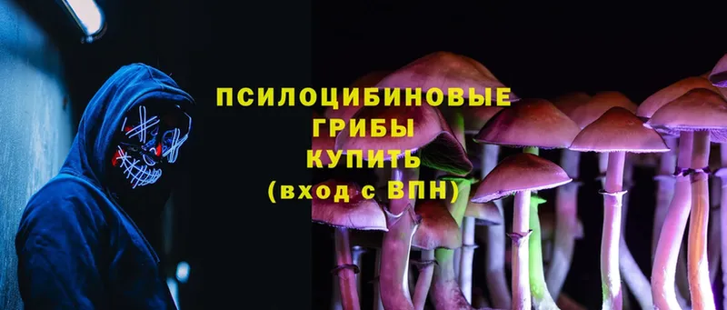 где продают наркотики  Лаишево  это формула  Псилоцибиновые грибы Psilocybine cubensis 